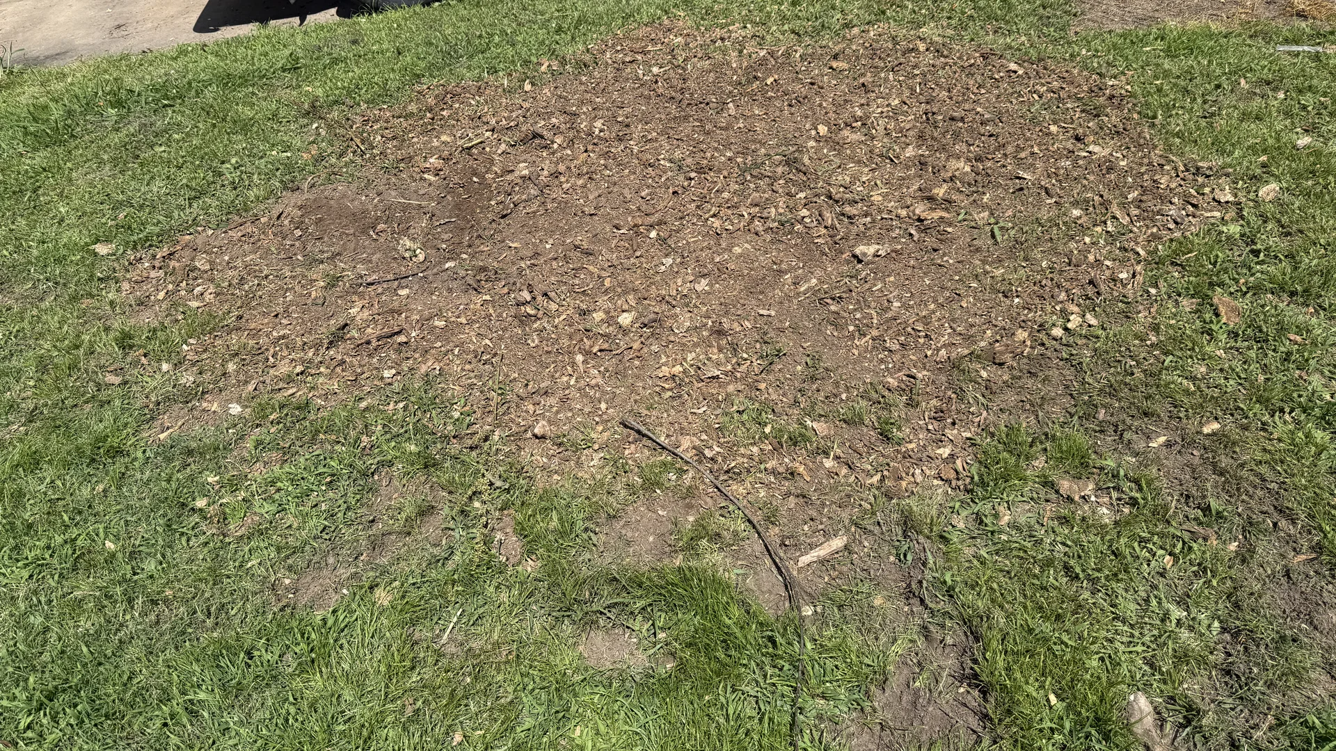 Completed stump grinding cleanup in a Tulsa area lawn