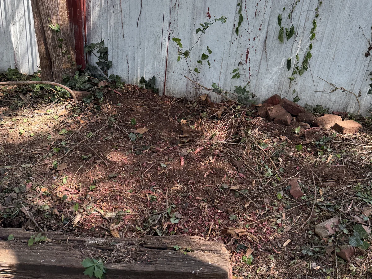 After stump grinding and cleanup along a fence line