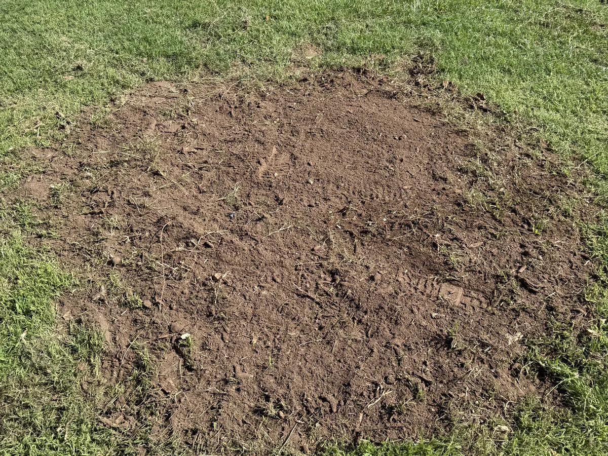After front yard stump grinding with the area leveled
