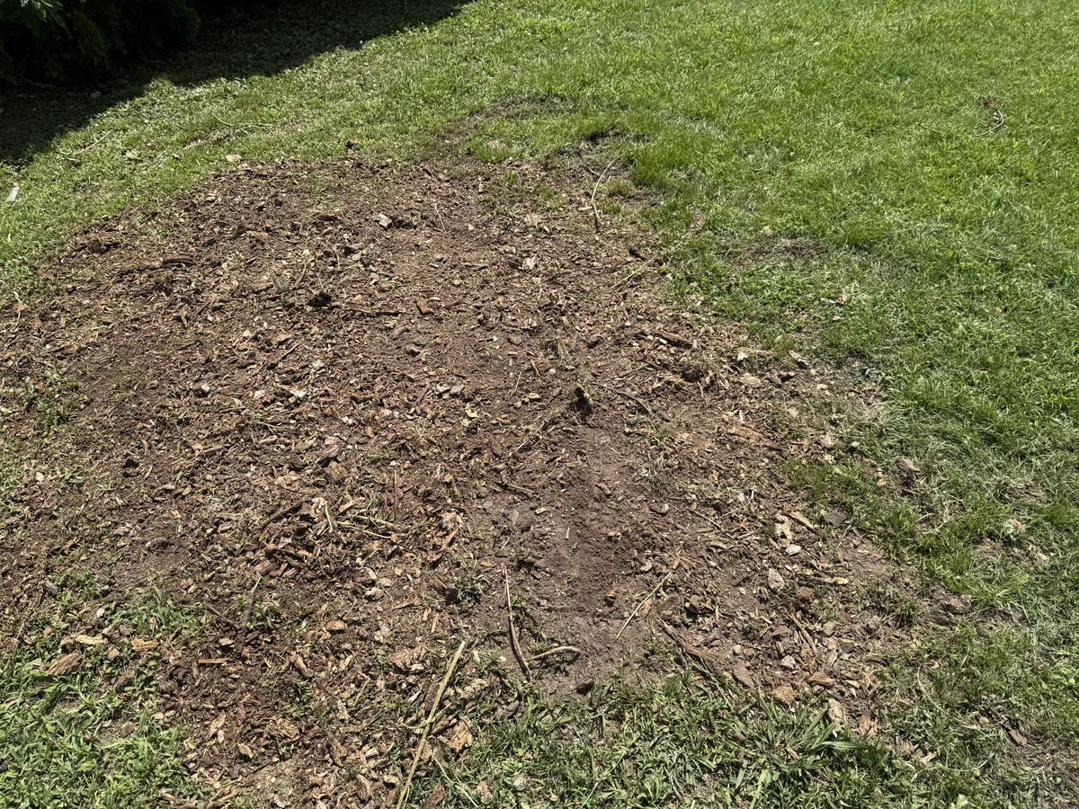 After lawn stump grinding with the area leveled