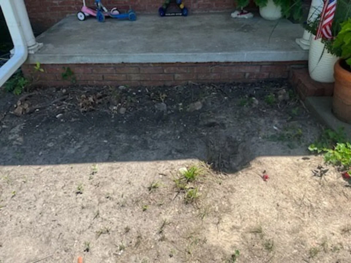 Before root and stump cleanup along a front porch bed